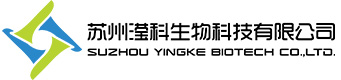 祝賀渭南金地圣科技有限責(zé)任公司網(wǎng)站上線！